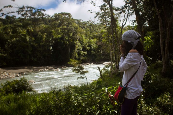 Retiro con Ayahuasca en la selva peruana