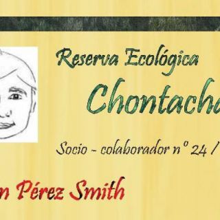 Now you can become collaborative partner of the chontachaka ecological reserve!