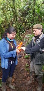 SUCCESSFUL ORNITHOLOGY COURSE AND SCIENTIFIC CAMP IN CHONTACHAKA