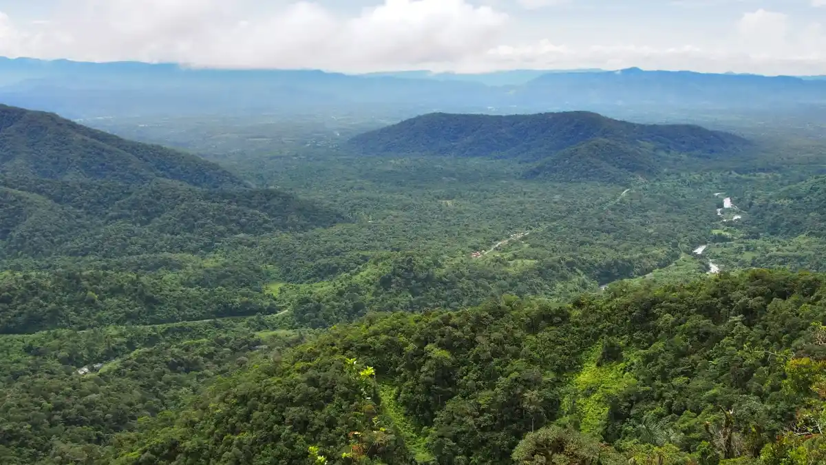 Chontachaka Ecological Reserve 