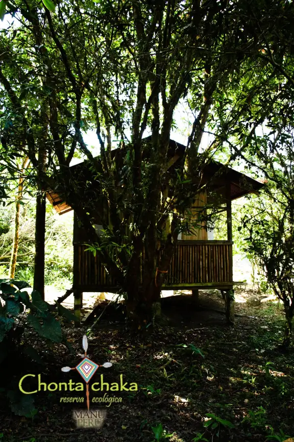 Ecological Reserve Chontachaka Manu Lodge