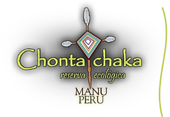 Chontachaka