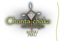 Chontachaka