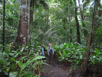 Manu National Park