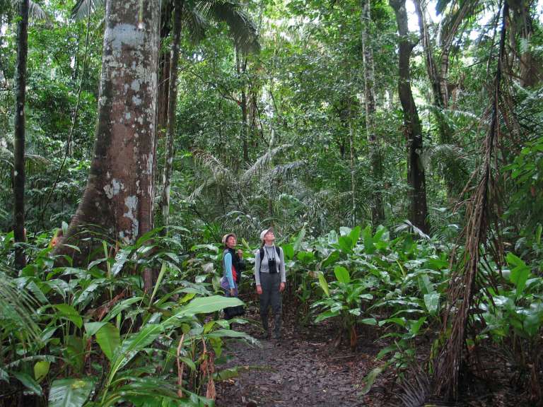 Parque Nacional Manu