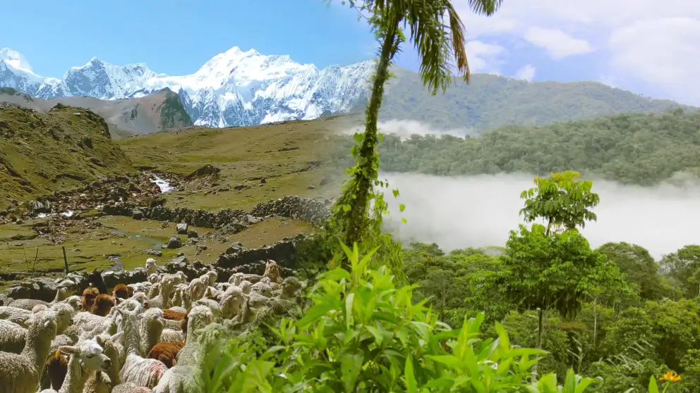 Peru from Heaven to Paradise