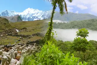Peru from Heaven to Paradise